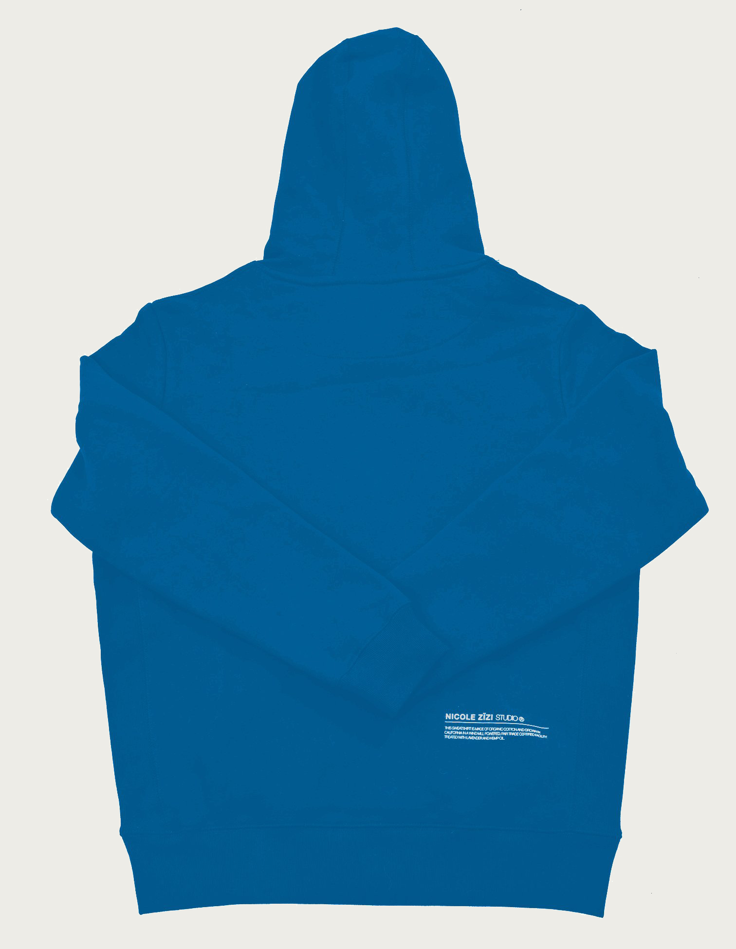 Organic Cotton Box Blue Logo Hooded Sweatshirt
