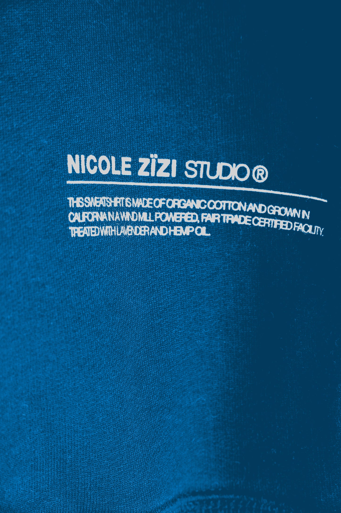 Organic Cotton Box Blue Logo Hooded Sweatshirt