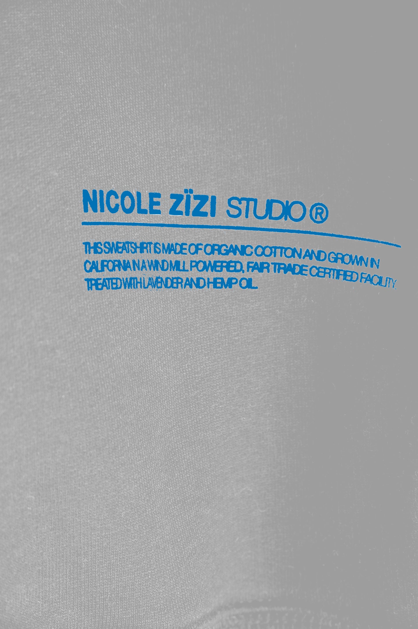Organic Cotton Box Grey Blue Logo Hooded Sweatshirt
