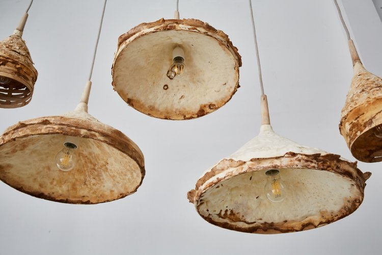 Innovative Textiles & Design: Mushroom mycelium used to create suede-like furniture